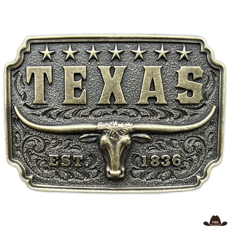 Boucle de Ceinture State of Texas