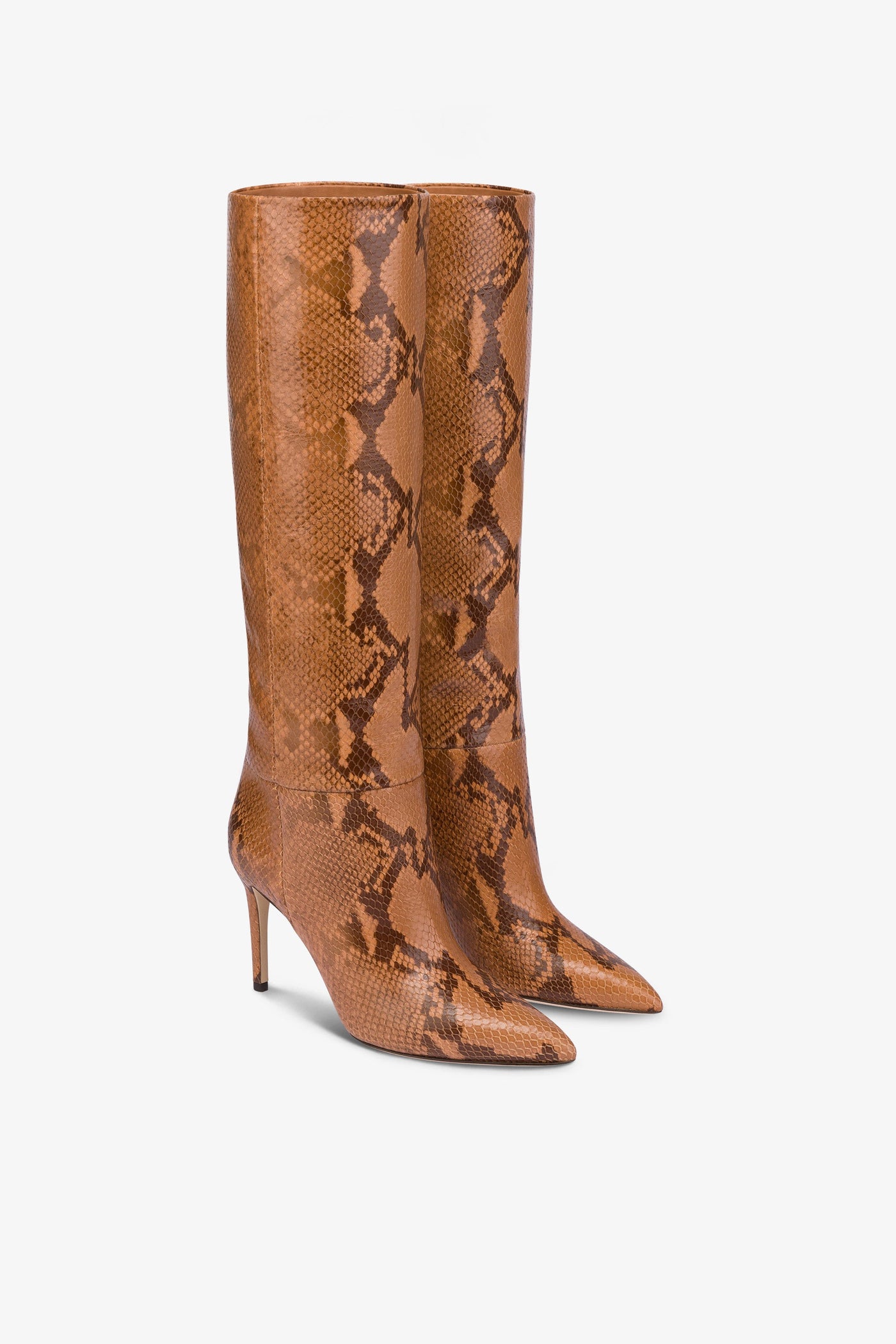 Pointed knee-high boots in canyon soft python-printed leather