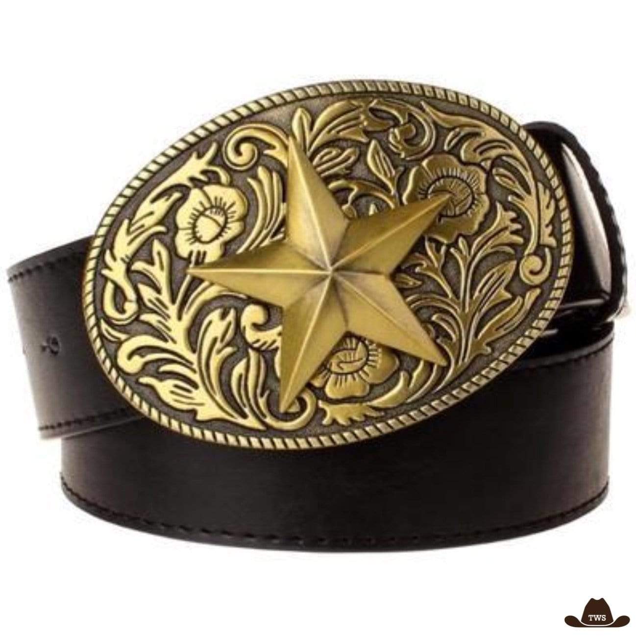 Ceinture Type Western