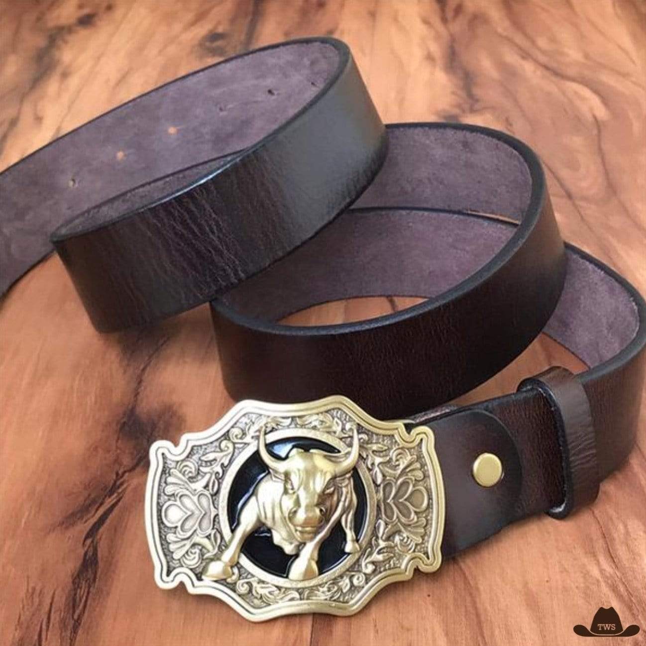 Ceinture Western Country Homme